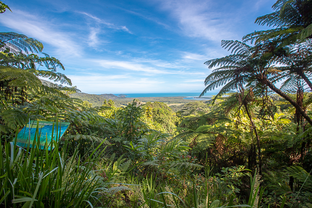 Rainforest Tours