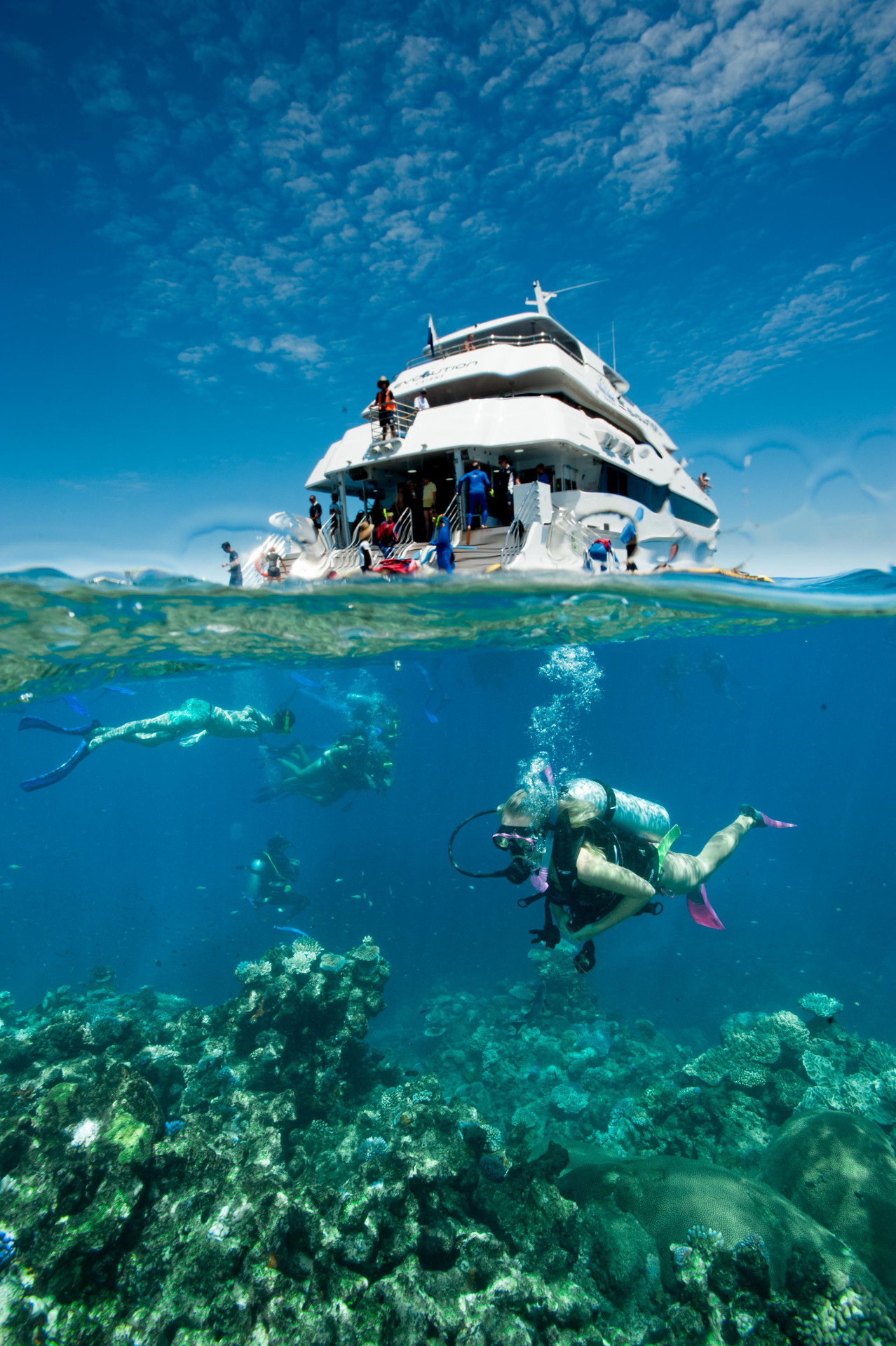 Scuba Diving