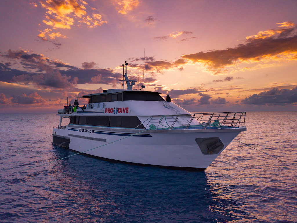 Overnight Liveaboard Reef Trips